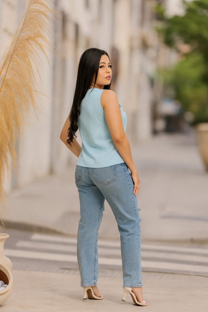 blusa lisa blusa lisa